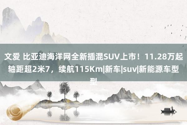 文爱 比亚迪海洋网全新插混SUV上市！11.28万起轴距超2米7，续航115Km|新车|suv|新能源车型