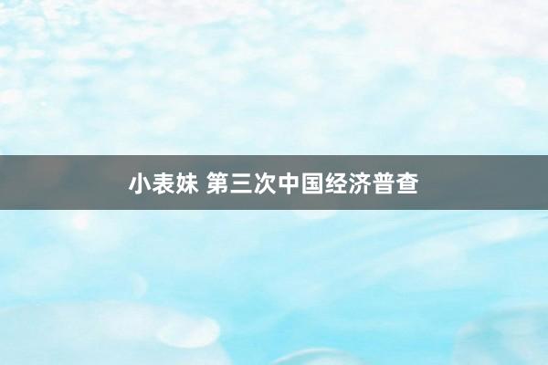 小表妹 第三次中国经济普查