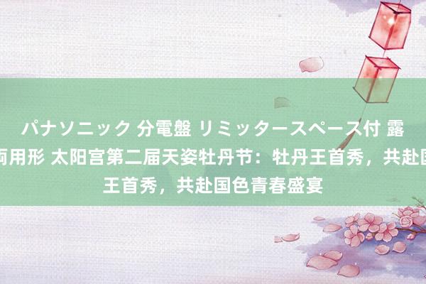 パナソニック 分電盤 リミッタースペース付 露出・半埋込両用形 太阳宫第二届天姿牡丹节：牡丹王首秀，共赴国色青春盛宴