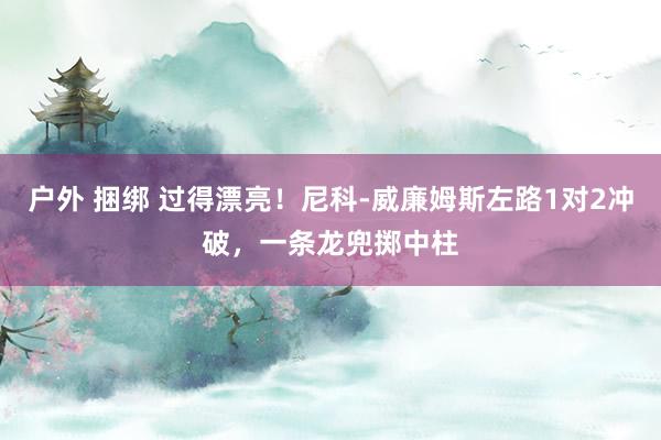 户外 捆绑 过得漂亮！尼科-威廉姆斯左路1对2冲破，一条龙兜掷中柱
