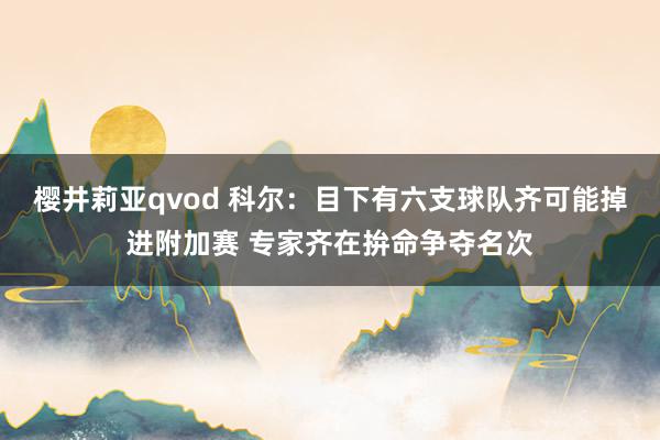 樱井莉亚qvod 科尔：目下有六支球队齐可能掉进附加赛 专家齐在拚命争夺名次